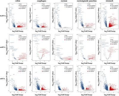 RNA-Associated Co-expression Network Identifies Novel Biomarkers for Digestive System Cancer